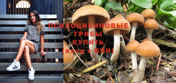 амфетамин Алексеевка