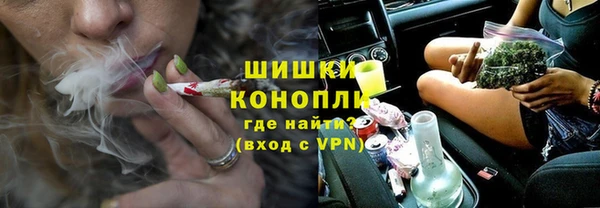 бошки Алексин