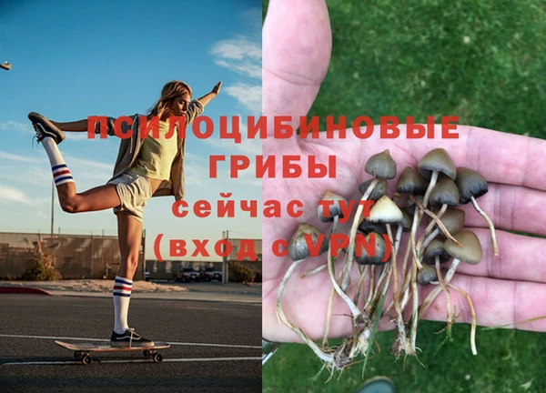 амфетамин Алексеевка
