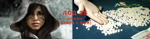кокс Алзамай