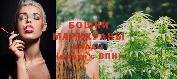 бошки Алексин