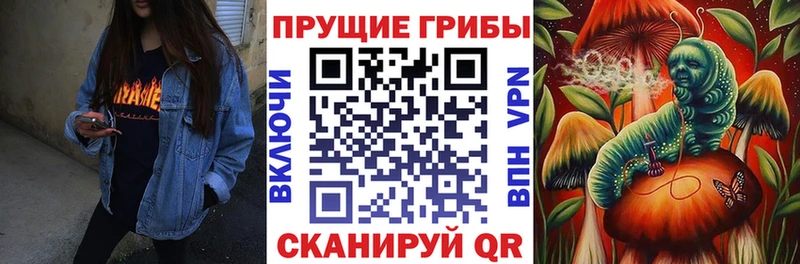 shop телеграм Геленджик гидра ONION Галлюциногенные грибы мухоморы где купить наркотик